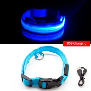 Led Dog Collar Anti-Lost Charged by USB blue collar