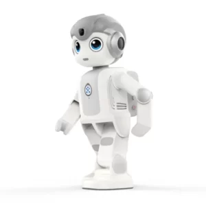 A household humanoid mini robot