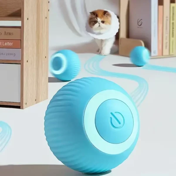 electronic toy for cats and small dogs