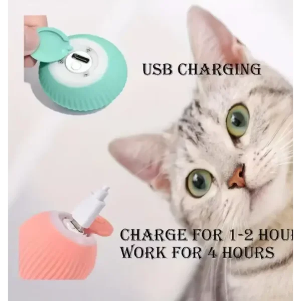 rechargeable pet toy
