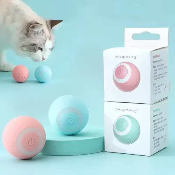interactive toy capturing your pet's attention