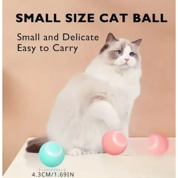small size cat electronic ball